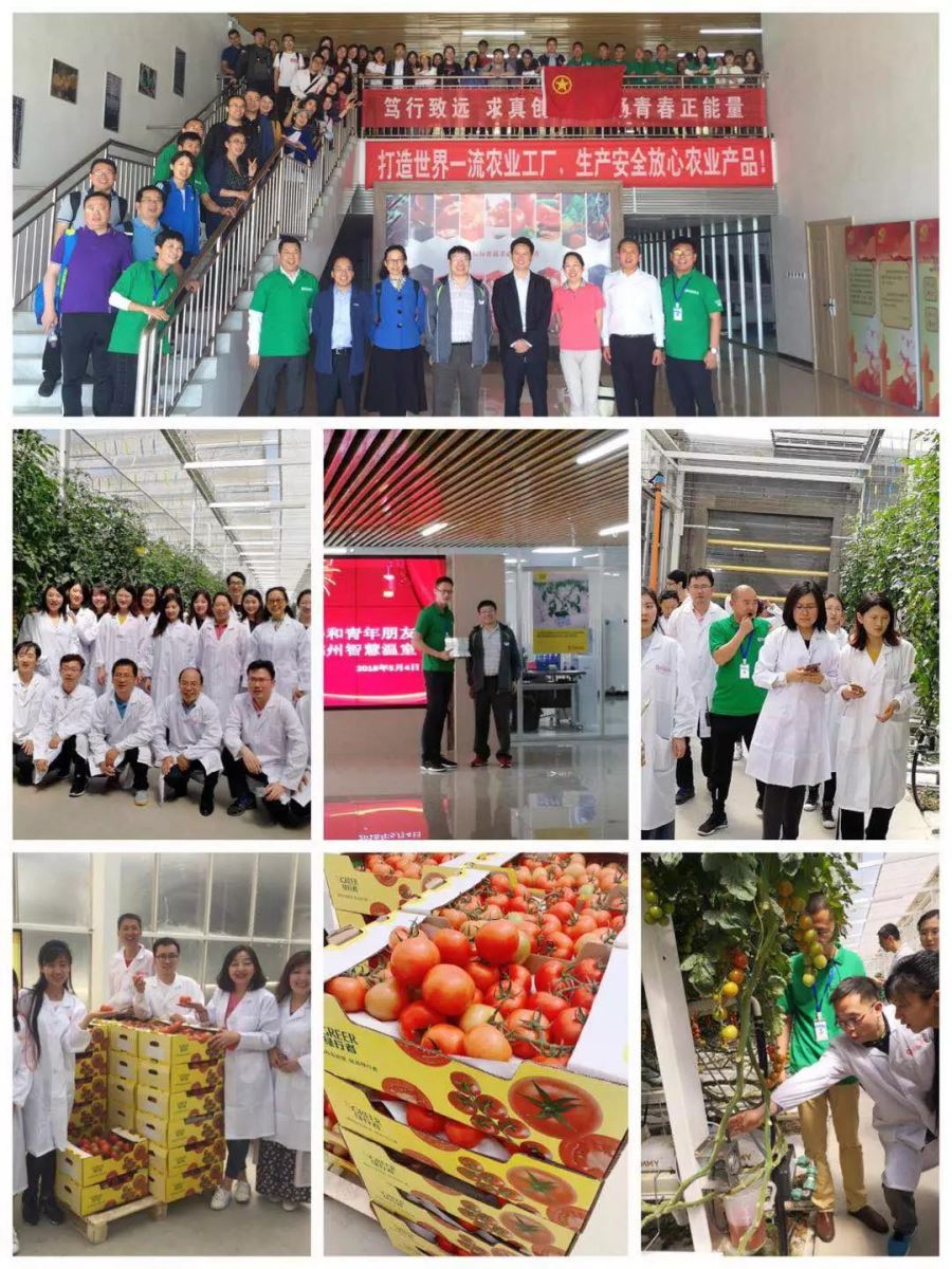 云顶集团3118(中国)官方网站