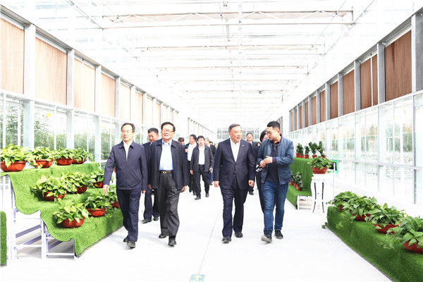 云顶集团3118(中国)官方网站