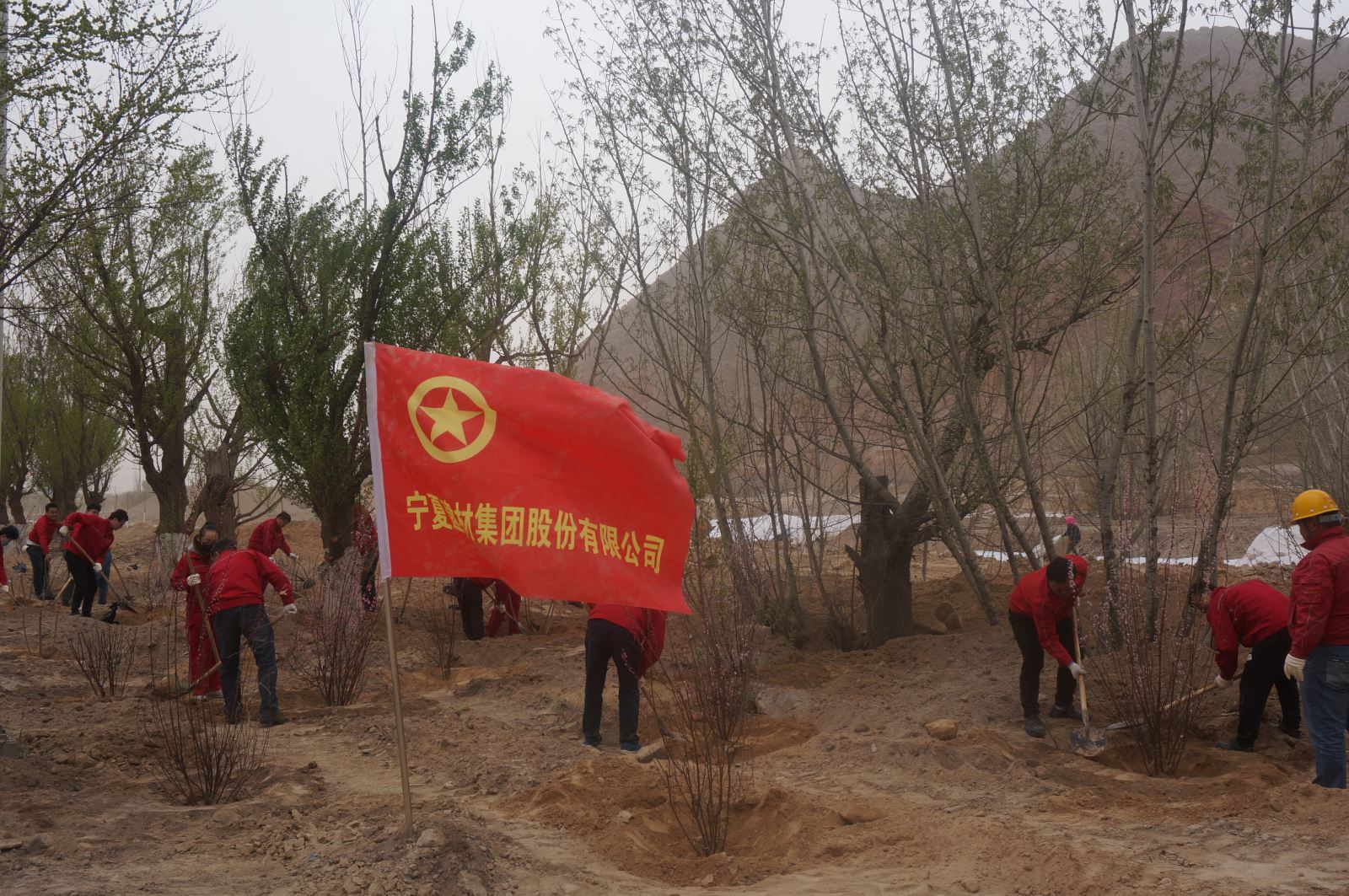 365速发国际(中国)官方网站