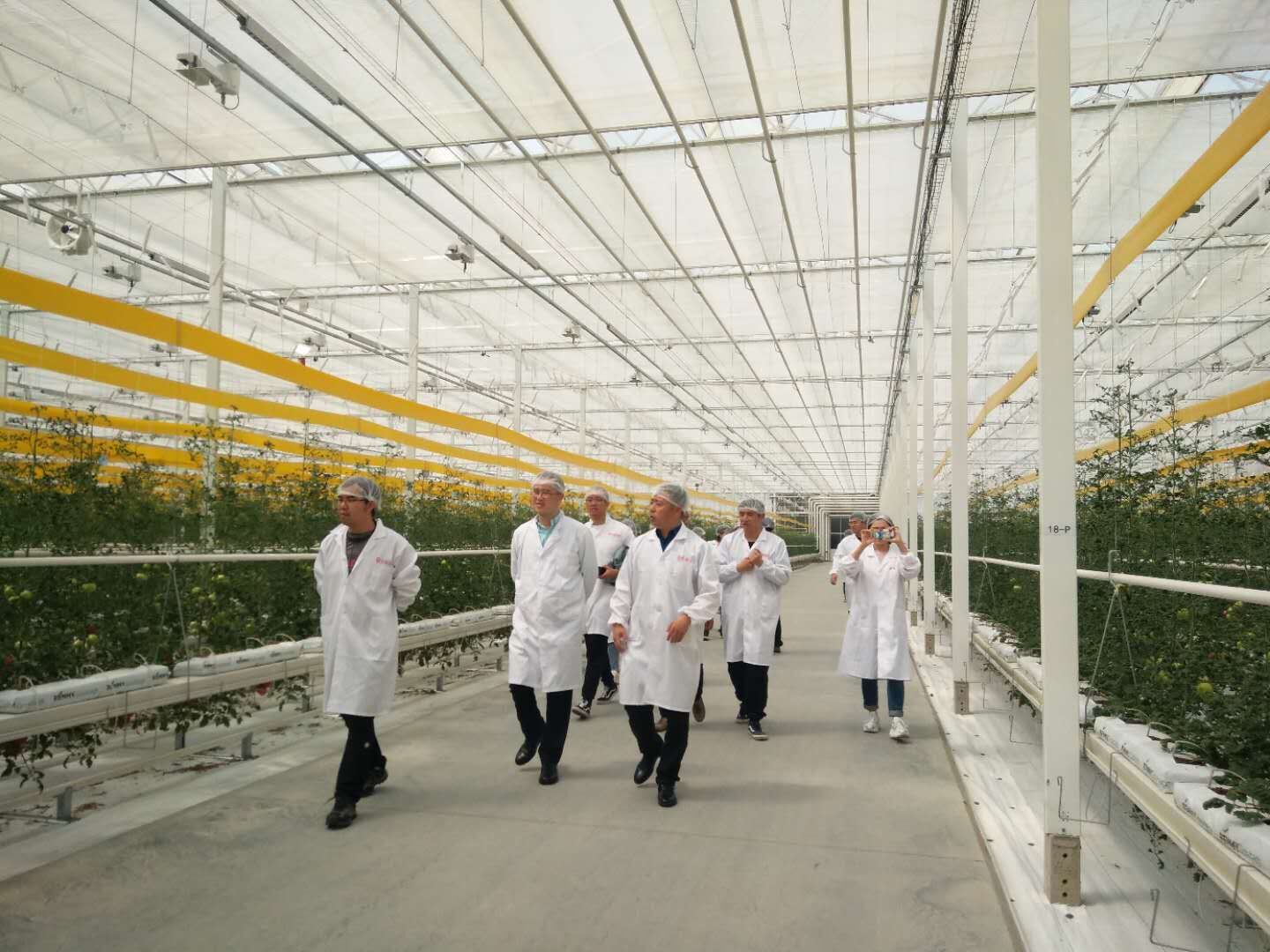 海洋之神·hy590(中国)最新官方网站